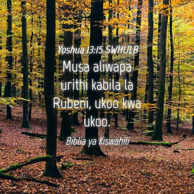 Picture 04 - Yoshua 13:15 SWHULB - Musa aliwapa urithi kabila la Rubeni, ukoo kwa - Bible Verse Picture