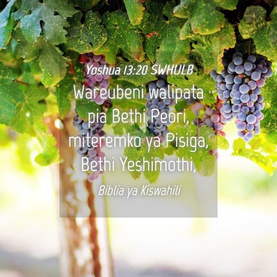 Picture 04 - Yoshua 13:20 SWHULB - Wareubeni walipata pia Bethi Peori, miteremko ya - Bible Verse Picture