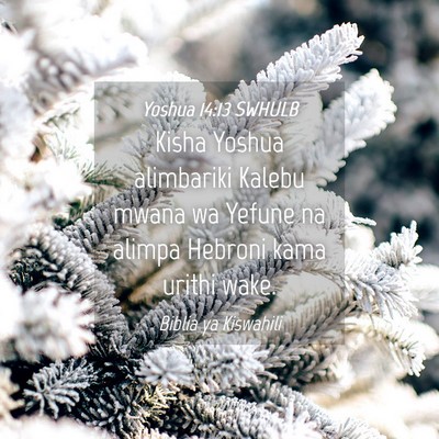 Picture 04 - Yoshua 14:13 SWHULB - Kisha Yoshua alimbariki Kalebu mwana wa Yefune na - Bible Verse Picture