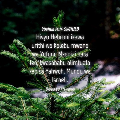 Picture 04 - Yoshua 14:14 SWHULB - Hivyo Hebroni ikawa urithi wa Kalebu mwana wa - Bible Verse Picture