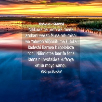 Picture 04 - Yoshua 14:7 SWHULB - Nilikuwa na umri wa miaka arobani wakati Musa - Bible Verse Picture