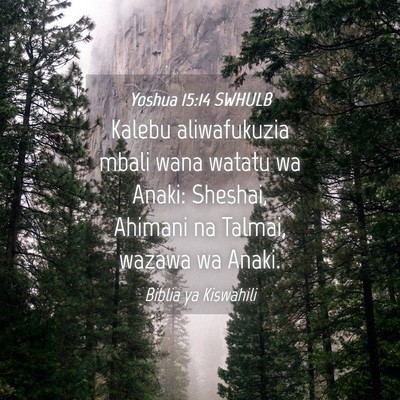 Picture 04 - Yoshua 15:14 SWHULB - Kalebu aliwafukuzia mbali wana watatu wa Anaki: - Bible Verse Picture