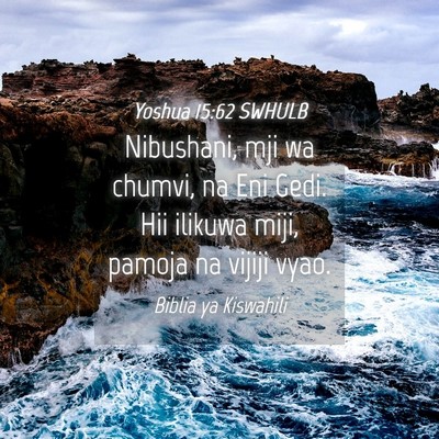 Picture 04 - Yoshua 15:62 SWHULB - Nibushani, mji wa chumvi, na Eni Gedi. Hii - Bible Verse Picture