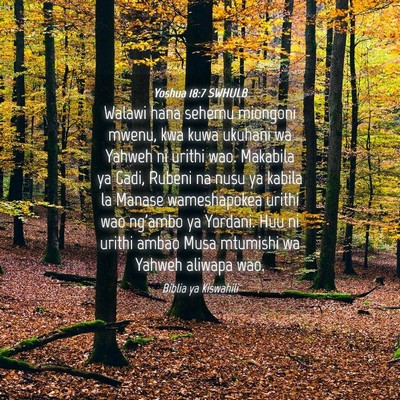 Picture 04 - Yoshua 18:7 SWHULB - Walawi hana sehemu miongoni mwenu, kwa kuwa - Bible Verse Picture