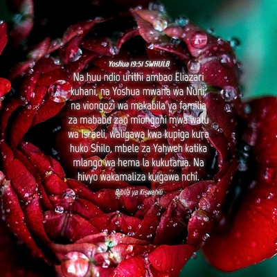 Picture 04 - Yoshua 19:51 SWHULB - Na huu ndio urithi ambao Eliazari kuhani, na - Bible Verse Picture