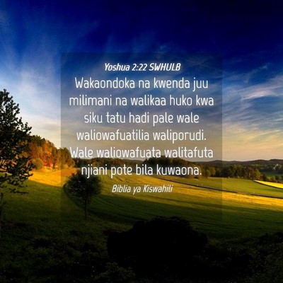 Picture 04 - Yoshua 2:22 SWHULB - Wakaondoka na kwenda juu milimani na walikaa huko - Bible Verse Picture
