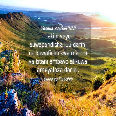 Picture 04 - Yoshua 2:6 SWHULB - Lakini yeye aliwapandisha juu darini na kuwaficha - Bible Verse Picture