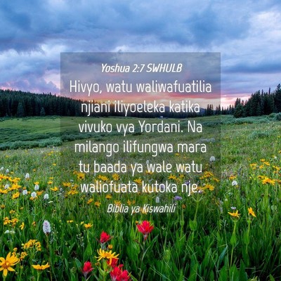 Picture 04 - Yoshua 2:7 SWHULB - Hivyo, watu waliwafuatilia njiani iliyoeleka - Bible Verse Picture