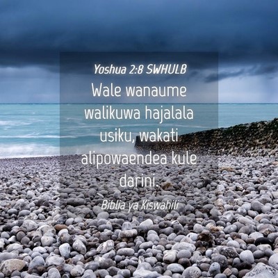 Picture 04 - Yoshua 2:8 SWHULB - Wale wanaume walikuwa hajalala usiku, wakati - Bible Verse Picture