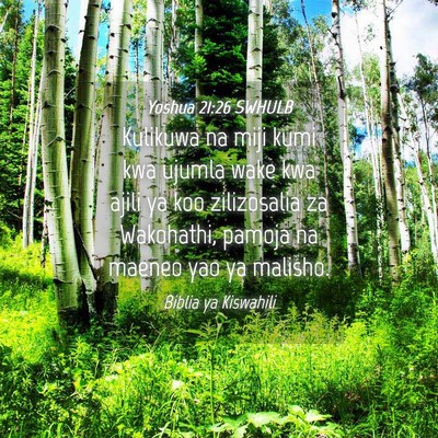Picture 04 - Yoshua 21:26 SWHULB - Kulikuwa na miji kumi kwa ujumla wake kwa ajili - Bible Verse Picture