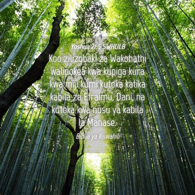 Picture 04 - Yoshua 21:5 SWHULB - Koo zilizobaki za Wakohathi walipokea kwa kupiga - Bible Verse Picture