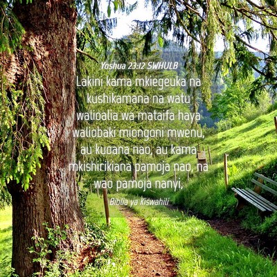 Picture 04 - Yoshua 23:12 SWHULB - Lakini kama mkiegeuka na kushikamana na watu - Bible Verse Picture