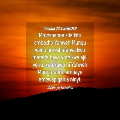 Picture 04 - Yoshua 23:3 SWHULB - Mmeshaona kila kitu ambacho Yahweh Mungu wenu - Bible Verse Picture