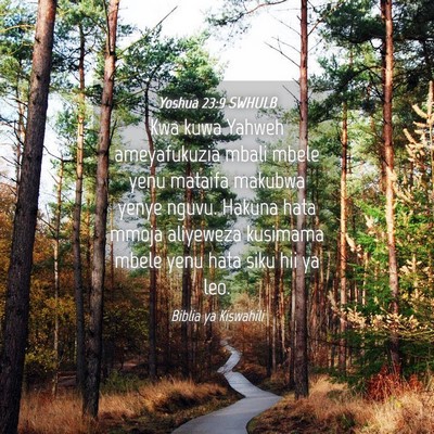 Picture 04 - Yoshua 23:9 SWHULB - Kwa kuwa Yahweh ameyafukuzia mbali mbele yenu - Bible Verse Picture