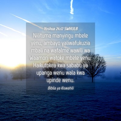 Picture 04 - Yoshua 24:12 SWHULB - Nilituma manyingu mbele yenu, ambayo - Bible Verse Picture