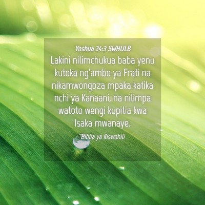 Picture 04 - Yoshua 24:3 SWHULB - Lakini nilimchukua baba yenu kutoka ng'ambo ya - Bible Verse Picture