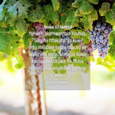 Picture 04 - Yoshua 3:7 SWHULB - Yahweh akamwambia Yoshua, “Siku hii nitakufanya - Bible Verse Picture