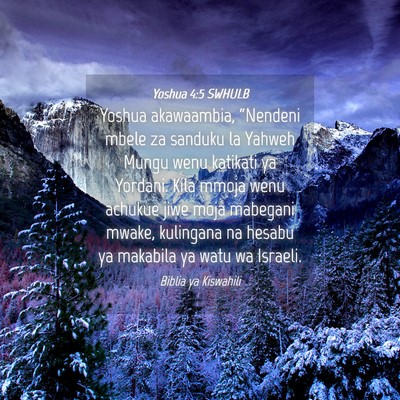 Picture 04 - Yoshua 4:5 SWHULB - Yoshua akawaambia, “Nendeni mbele za sanduku la - Bible Verse Picture