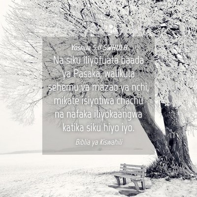 Picture 04 - Yoshua 5:11 SWHULB - Na siku iliyofuata baada ya Pasaka, walikula - Bible Verse Picture