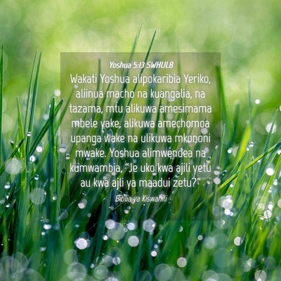 Picture 04 - Yoshua 5:13 SWHULB - Wakati Yoshua alipokaribia Yeriko, aliinua macho - Bible Verse Picture