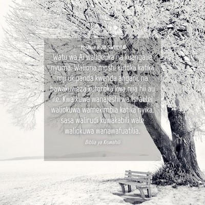 Picture 04 - Yoshua 8:20 SWHULB - Watu wa Ai waligeuka na kuangalia nyuma. Waliona - Bible Verse Picture