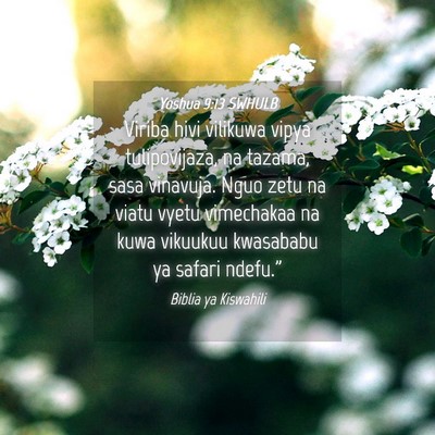 Picture 04 - Yoshua 9:13 SWHULB - Viriba hivi vilikuwa vipya tulipovijaza, na - Bible Verse Picture