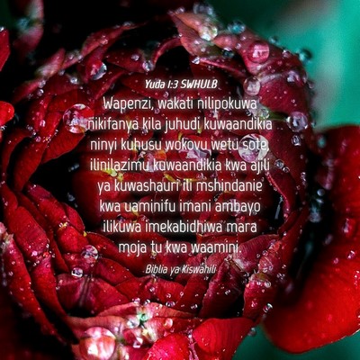 Picture 04 - Yuda 1:3 SWHULB - Wapenzi, wakati nilipokuwa nikifanya kila juhudi - Bible Verse Picture