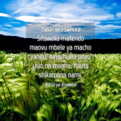 Picture 04 - Zaburi 101:3 SWHULB - Sitaweka matendo maovu mbele ya macho yangu; - Bible Verse Picture