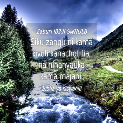 Picture 04 - Zaburi 102:11 SWHULB - Siku zangu ni kama kivuli kanachofifia, na - Bible Verse Picture