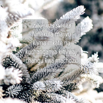 Picture 04 - Zaburi 102:9 SWHULB - Ninakula majivu kama mkate na kuchanganya - Bible Verse Picture