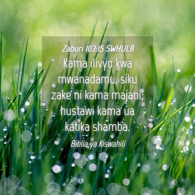 Picture 04 - Zaburi 103:15 SWHULB - Kama ilivyo kwa mwanadamu, siku zake ni kama - Bible Verse Picture