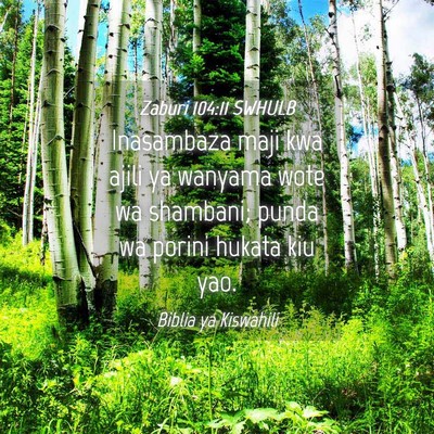 Picture 04 - Zaburi 104:11 SWHULB - Inasambaza maji kwa ajili ya wanyama wote wa - Bible Verse Picture