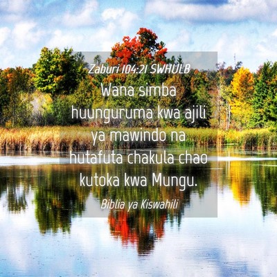 Picture 04 - Zaburi 104:21 SWHULB - Wana simba huunguruma kwa ajili ya mawindo na - Bible Verse Picture