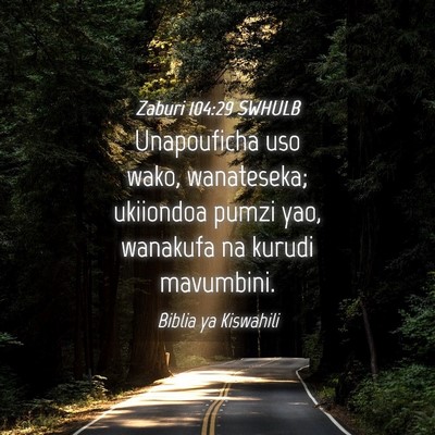 Picture 04 - Zaburi 104:29 SWHULB - Unapouficha uso wako, wanateseka; ukiiondoa pumzi - Bible Verse Picture