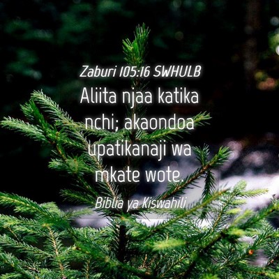 Picture 04 - Zaburi 105:16 SWHULB - Aliita njaa katika nchi; akaondoa upatikanaji wa - Bible Verse Picture