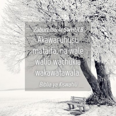 Picture 04 - Zaburi 106:41 SWHULB - Akawaruhusu mataifa, na wale walio wachukia - Bible Verse Picture