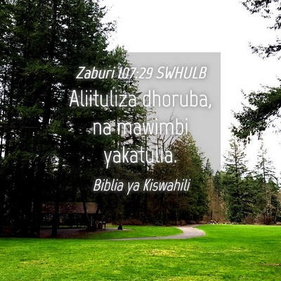 Picture 04 - Zaburi 107:29 SWHULB - Aliituliza dhoruba, na mawimbi - Bible Verse Picture