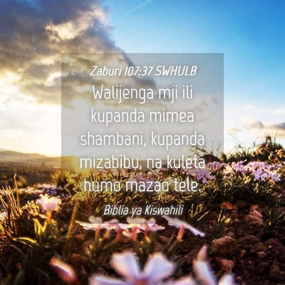 Picture 04 - Zaburi 107:37 SWHULB - Walijenga mji ili kupanda mimea shambani, kupanda - Bible Verse Picture