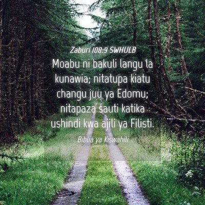 Picture 04 - Zaburi 108:9 SWHULB - Moabu ni bakuli langu la kunawia; nitatupa kiatu - Bible Verse Picture