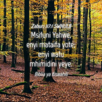 Picture 04 - Zaburi 117:1 SWHULB - Msifuni Yahwe, enyi mataifa yote; enyi watu - Bible Verse Picture