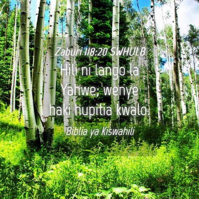 Picture 04 - Zaburi 118:20 SWHULB - Hili ni lango la Yahwe; wenye haki hupitia - Bible Verse Picture