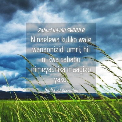 Picture 04 - Zaburi 119:100 SWHULB - Ninaelewa kuliko wale wanaonizidi umri; hii ni - Bible Verse Picture
