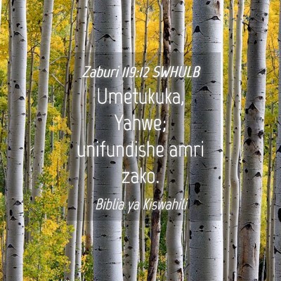 Picture 04 - Zaburi 119:12 SWHULB - Umetukuka, Yahwe; unifundishe amri - Bible Verse Picture