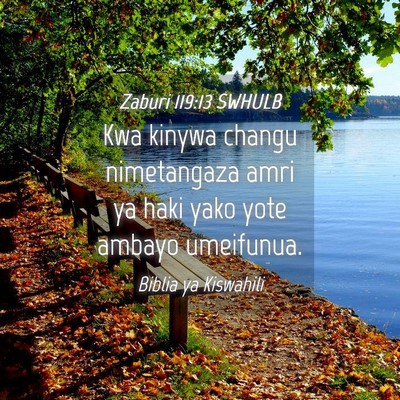 Picture 04 - Zaburi 119:13 SWHULB - Kwa kinywa changu nimetangaza amri ya haki yako - Bible Verse Picture
