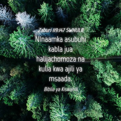 Picture 04 - Zaburi 119:147 SWHULB - NInaamka asubuhi kabla jua halijachomoza na kulia - Bible Verse Picture