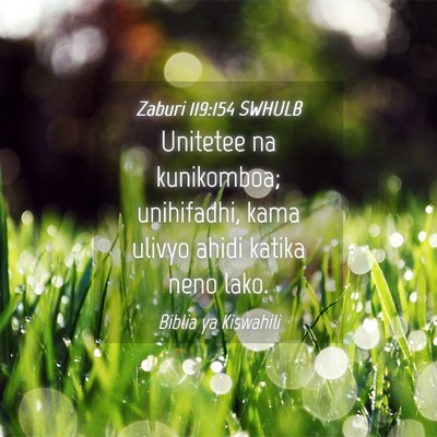 Picture 04 - Zaburi 119:154 SWHULB - Unitetee na kunikomboa; unihifadhi, kama ulivyo - Bible Verse Picture