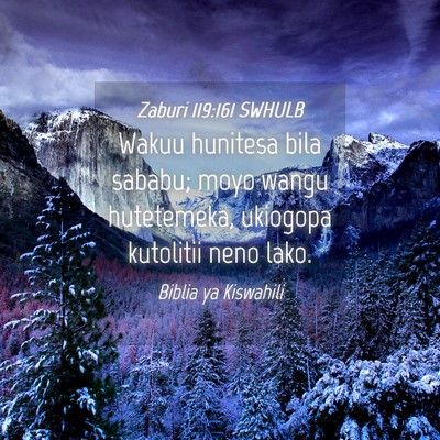 Picture 04 - Zaburi 119:161 SWHULB - Wakuu hunitesa bila sababu; moyo wangu - Bible Verse Picture