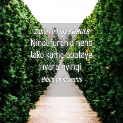 Picture 04 - Zaburi 119:162 SWHULB - Ninalifurahia neno lako kama apataye nyara - Bible Verse Picture