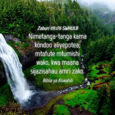 Picture 04 - Zaburi 119:176 SWHULB - Nimetanga-tanga kama kondoo aliyepotea; mtafute - Bible Verse Picture