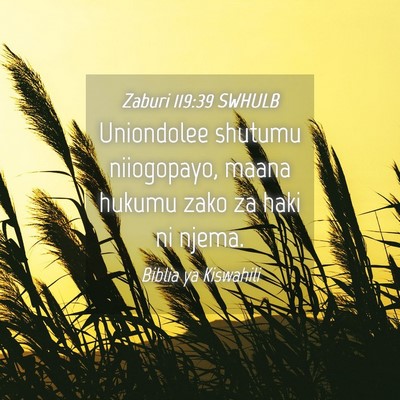 Picture 04 - Zaburi 119:39 SWHULB - Uniondolee shutumu niiogopayo, maana hukumu zako - Bible Verse Picture